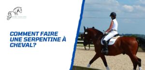 Lire la suite à propos de l’article Comment faire une serpentine 4 boucles à cheval?