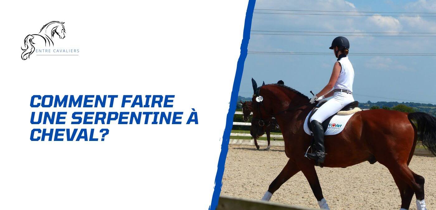 You are currently viewing Comment faire une serpentine 4 boucles à cheval?