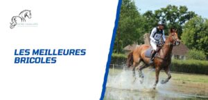 Lire la suite à propos de l’article Comment choisir la meilleure bricole pour son cheval?