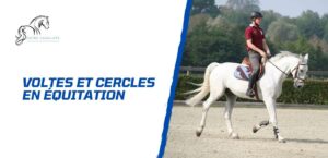 Lire la suite à propos de l’article Voltes et cercles en équitation – La base du dressage
