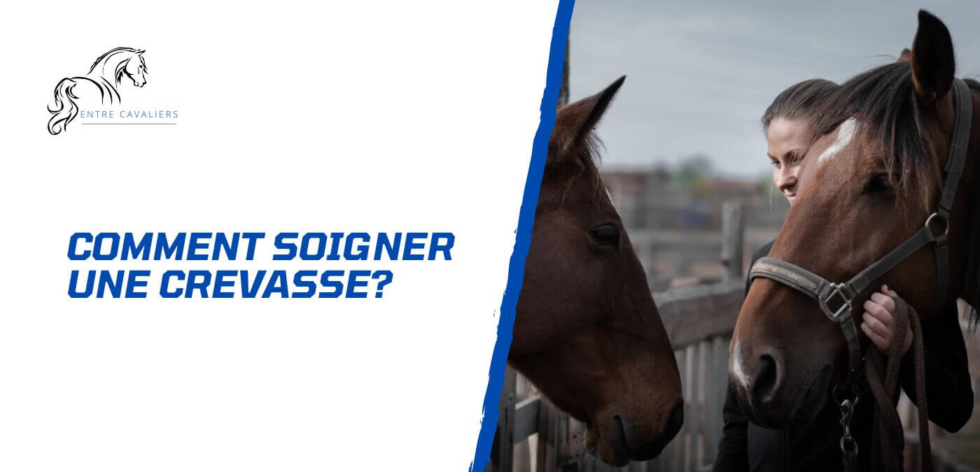 You are currently viewing Comment soigner une crevasse chez le cheval?