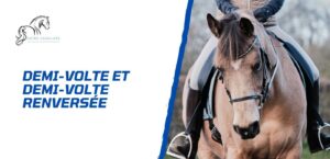 Lire la suite à propos de l’article Demi-volte et demi-volte renversée en équitation