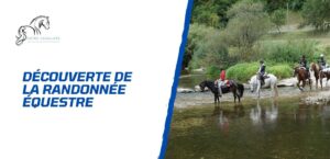 Lire la suite à propos de l’article Découverte de la randonnée équestre – Sur les sentiers de la France