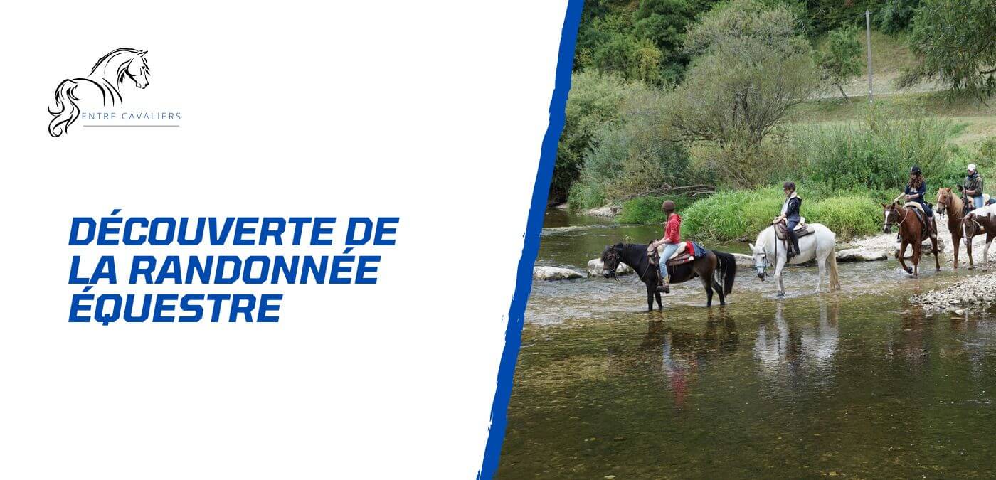 You are currently viewing Découverte de la randonnée équestre – Sur les sentiers de la France