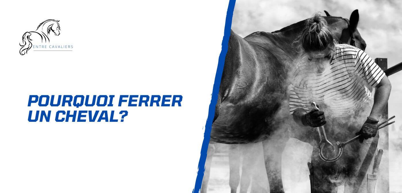 You are currently viewing Pourquoi ferrer un cheval? Entre protection et performance