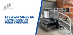 Lire la suite à propos de l’article Les avantages du tapis roulant pour les chevaux