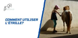 Lire la suite à propos de l’article Comment utiliser l’étrille pour panser son cheval?