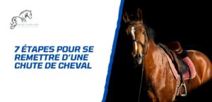 Lire la suite à propos de l’article 7 étapes pour se remettre d’une chute de cheval