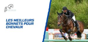 Lire la suite à propos de l’article Choisir le meilleur bonnet pour son cheval – Conseils de sélection
