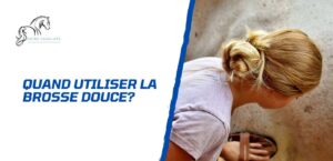 Lire la suite à propos de l’article Quand utiliser la brosse douce pour mon cheval?