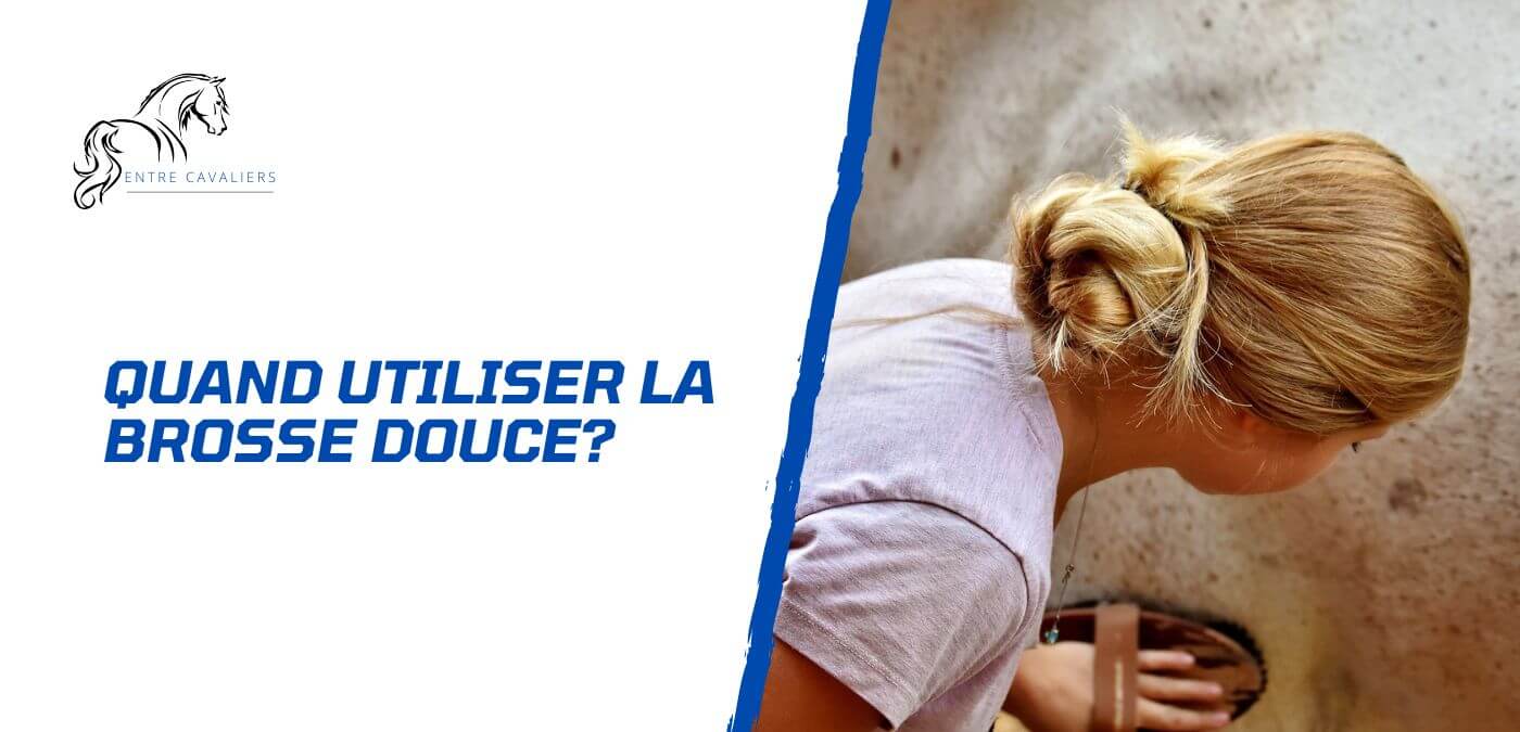 You are currently viewing Quand utiliser la brosse douce pour mon cheval?