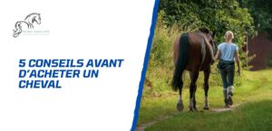 Lire la suite à propos de l’article 5 conseils essentiels à suivre avant d’acheter un cheval