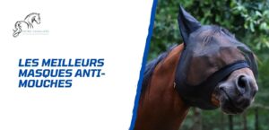 Lire la suite à propos de l’article Choisir le meilleur masque anti-mouches pour son cheval