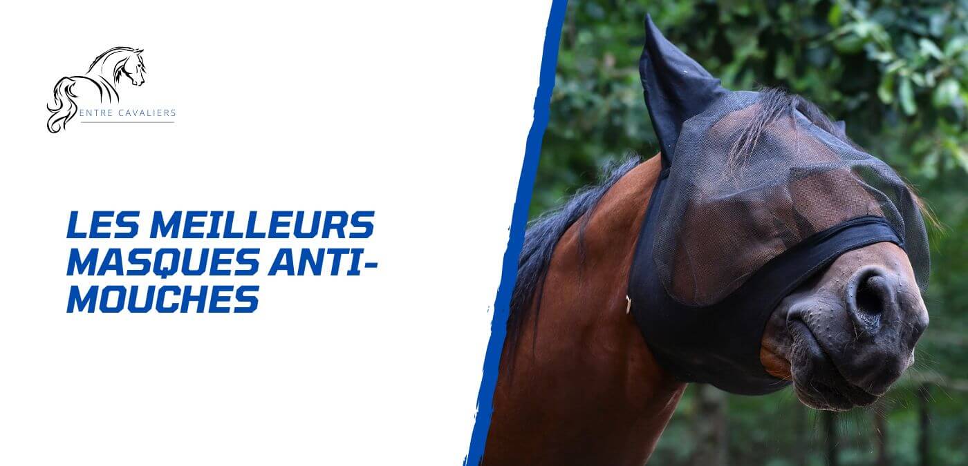 You are currently viewing Choisir le meilleur masque anti-mouches pour son cheval