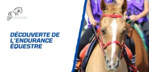 Lire la suite à propos de l’article Découverte de l’endurance à cheval – Guide complet du cavalier