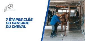 Lire la suite à propos de l’article 7 étapes pour un pansage du cheval complet et efficace