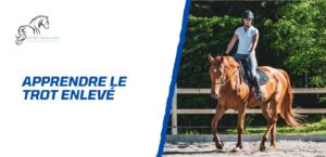 Lire la suite à propos de l’article Comment apprendre le trot enlevé – Les bases de l’équitation
