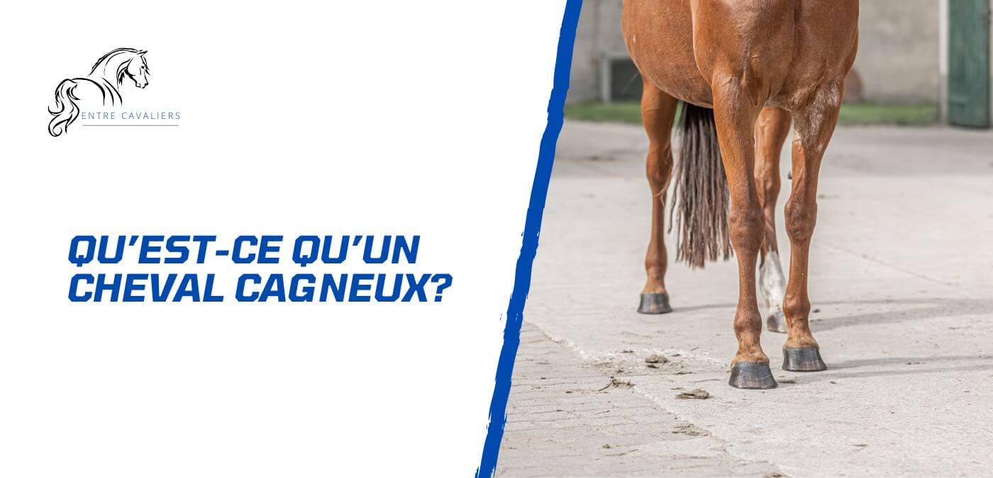 You are currently viewing Qu’est-ce qu’un cheval cagneux?