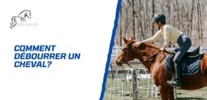 Lire la suite à propos de l’article Comment débourrer un cheval? Techniques et conseils de pros