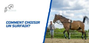 Lire la suite à propos de l’article Comment choisir un surfaix pour son cheval?