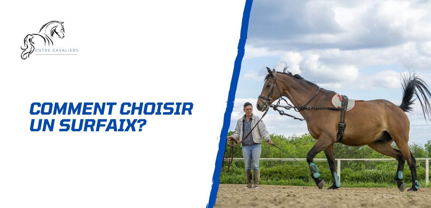 You are currently viewing Comment choisir un surfaix pour son cheval?