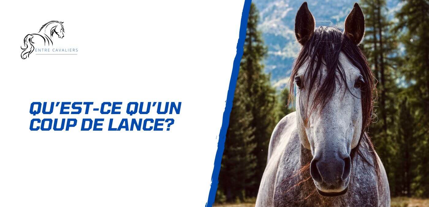 You are currently viewing Mon cheval a un coup de lance – Est-ce grave?