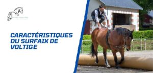 Lire la suite à propos de l’article Les caractéristiques essentielles du surfaix de voltige