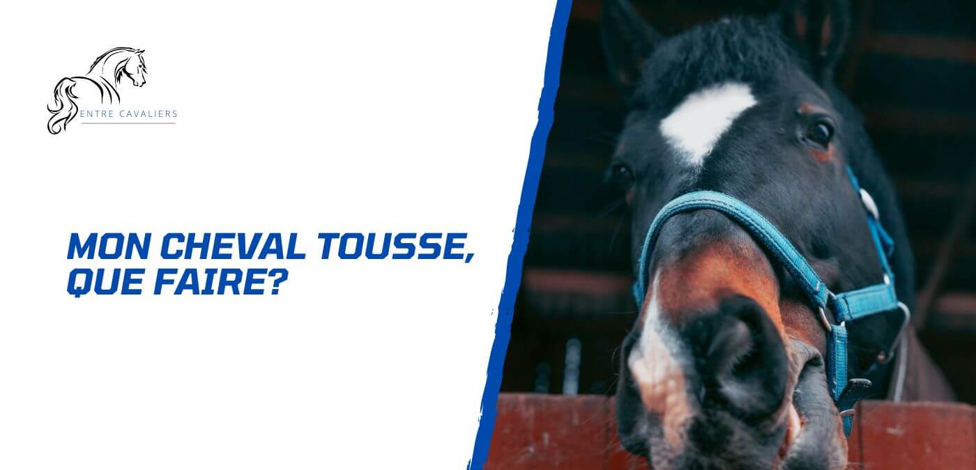 You are currently viewing Soigner un cheval qui tousse – Causes, traitement et prévention