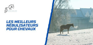 Lire la suite à propos de l’article Avantages du nébulisateur pour le cheval – Les meilleurs appareils