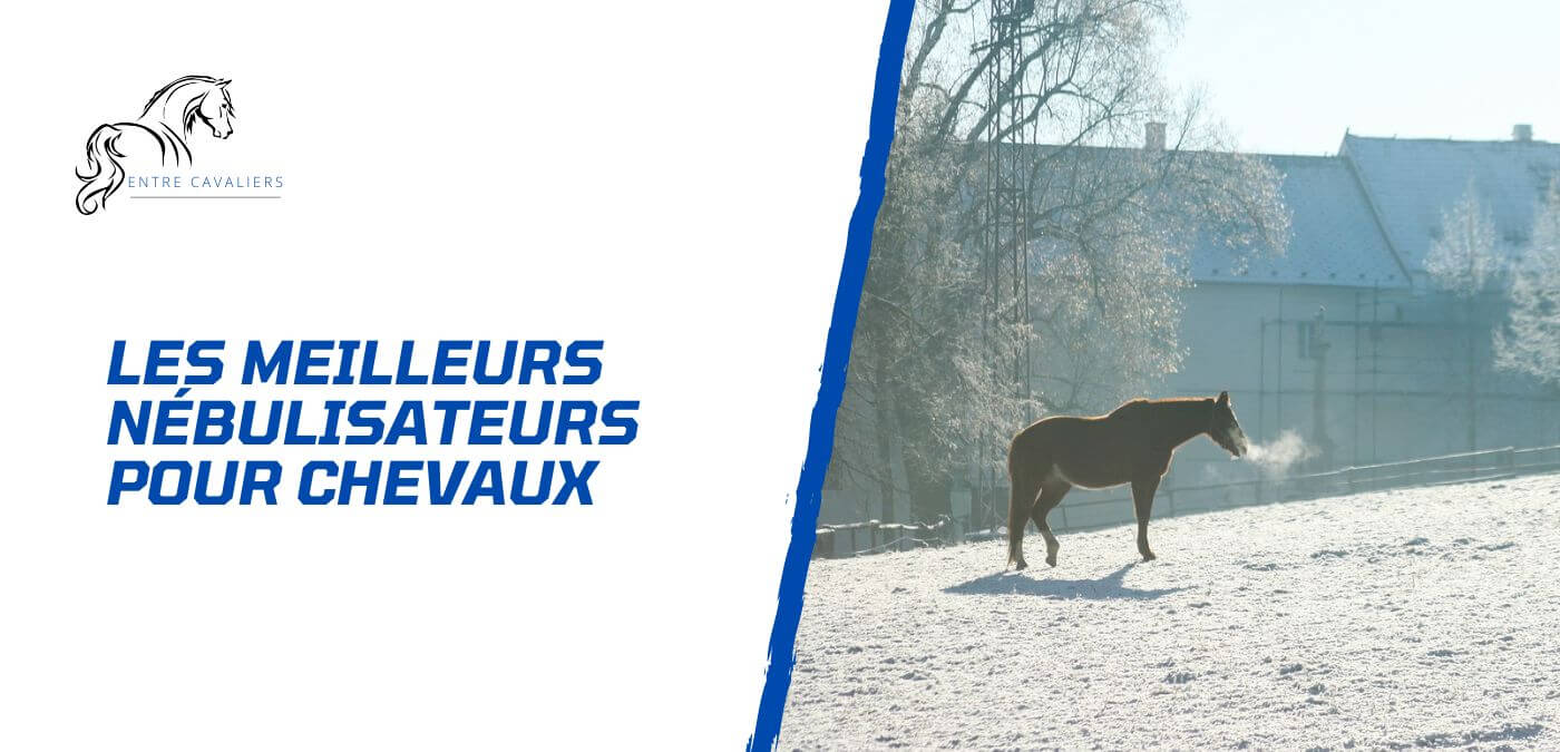You are currently viewing Avantages du nébulisateur pour le cheval – Les meilleurs appareils
