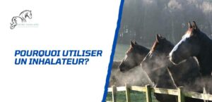 Lire la suite à propos de l’article Pourquoi utiliser un inhalateur pour son cheval?