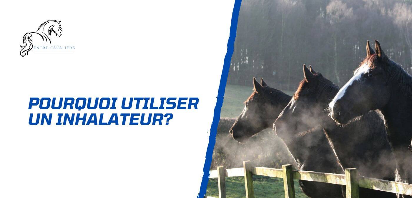 You are currently viewing Pourquoi utiliser un inhalateur pour son cheval?