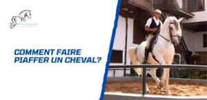 Lire la suite à propos de l’article Comment apprendre le piaffer à un cheval?