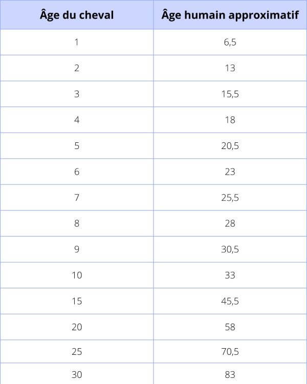 age cheval humain