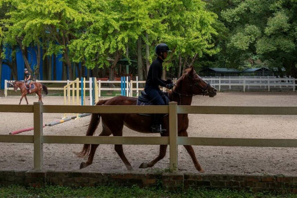 exercice cheval