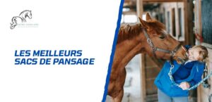 Lire la suite à propos de l’article Comment choisir son sac de pansage?