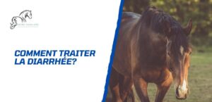 Lire la suite à propos de l’article Comment traiter la diarrhée chez le cheval?