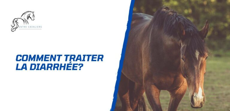 Lire la suite à propos de l’article Comment traiter la diarrhée chez le cheval?