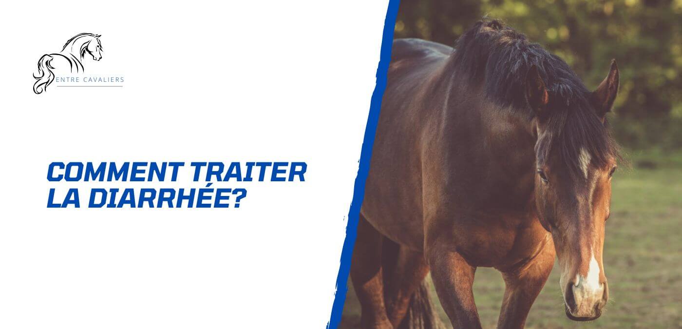 You are currently viewing Comment traiter la diarrhée chez le cheval?