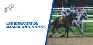 Lire la suite à propos de l’article Pourquoi utiliser un masque anti-stress pour cheval?