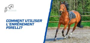 Lire la suite à propos de l’article Comment utiliser l’enrênement Pirelli?