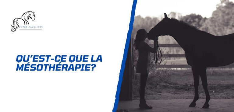 mésothérapie cheval