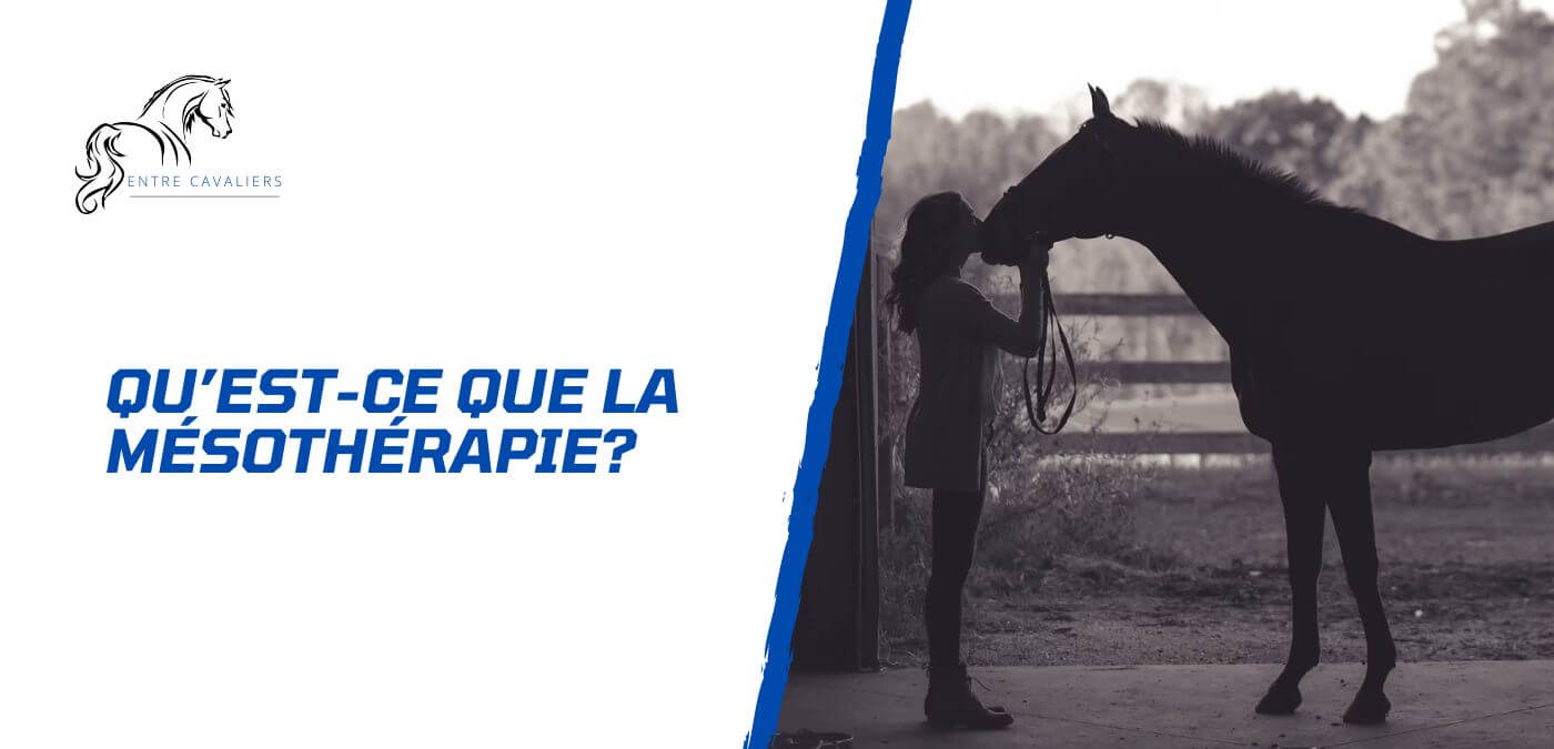 You are currently viewing Qu’est-ce que la mésothérapie chez le cheval?