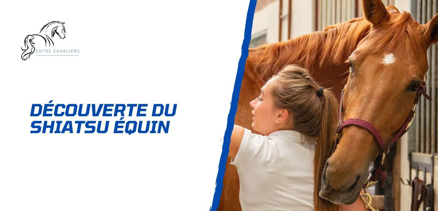 You are currently viewing Découverte du shiatsu équin – Pour le bien-être du cheval