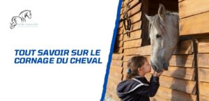 Lire la suite à propos de l’article Comment gérer le cornage chez un cheval?