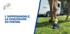Lire la suite à propos de l’article Découverte des hipposandales – Les chaussures du cheval