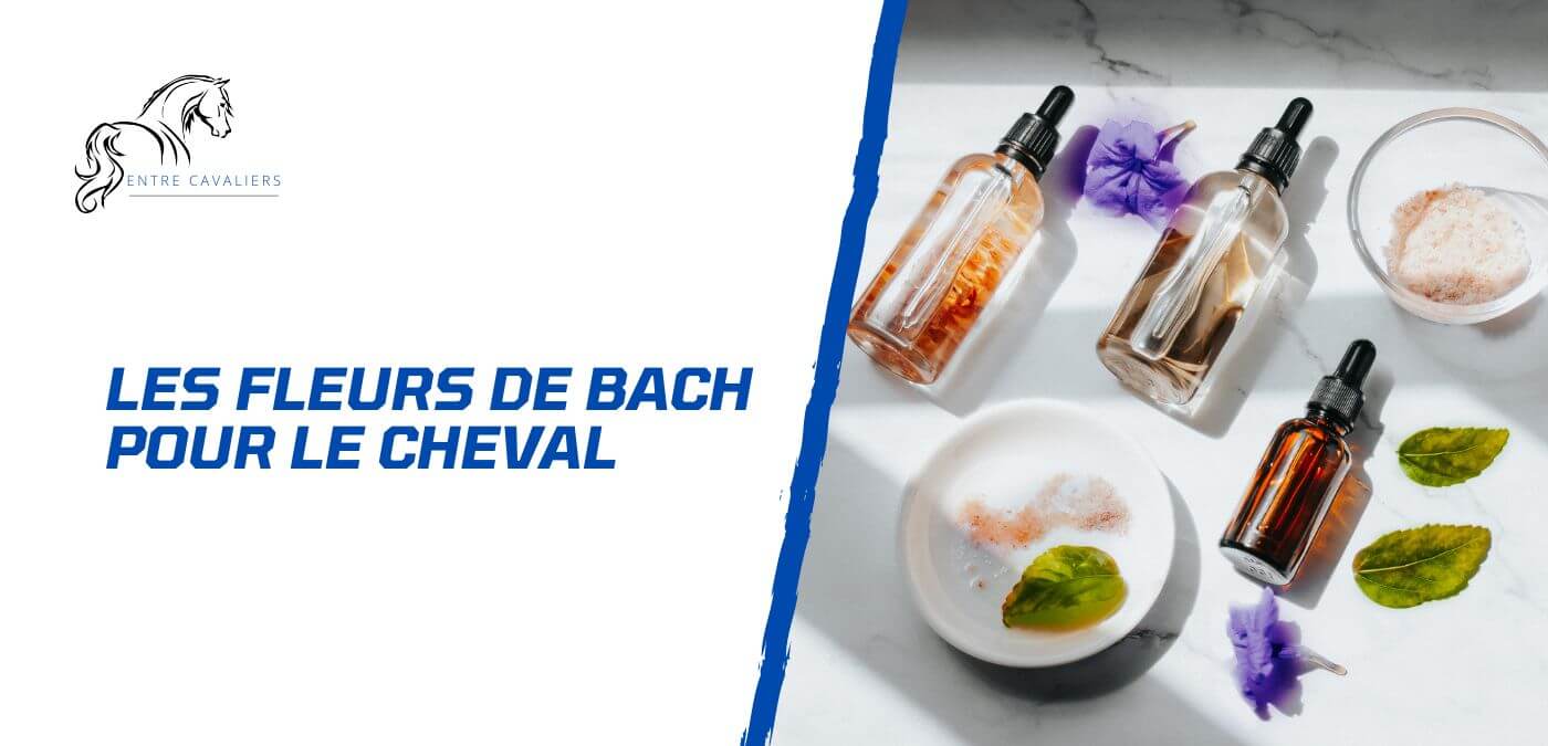 You are currently viewing Comment utiliser les fleurs de Bach pour le bien-être du cheval?