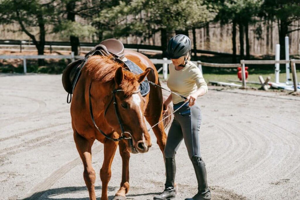 travail à pied cheval