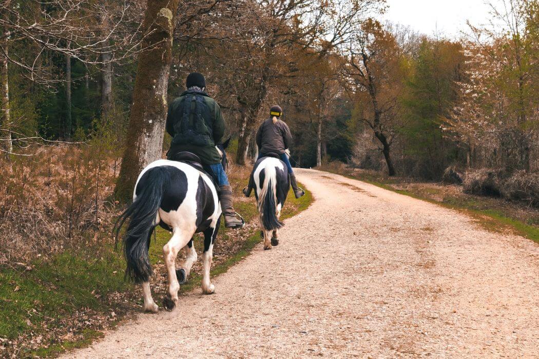 balade à cheval