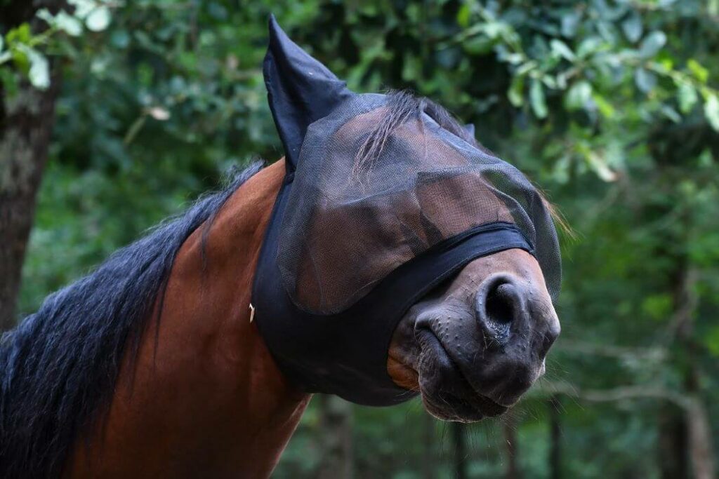 masque protection cheval